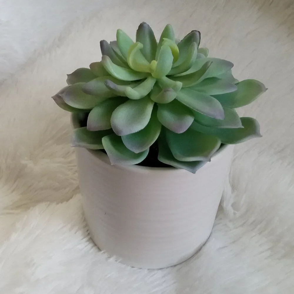 Faux Arrangements Succulent - NEW!!!
